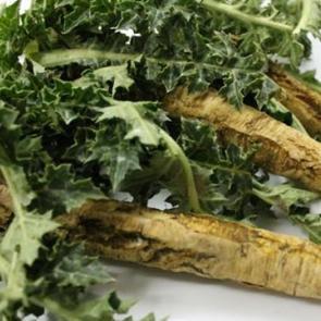 Ege Bölgesi'ndeki otlar ömrü uzatıyor