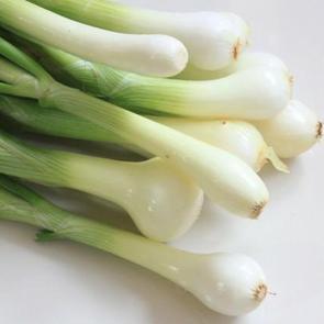 Diyet yapanlar bunu asla yemesin