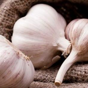 Sarımsak bal mucizesi