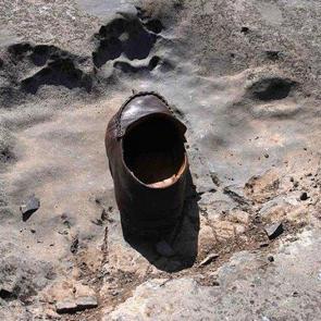 &Ccedil;in'de en k&uuml;&ccedil;&uuml;k dinozor ayak izleri bulundu 