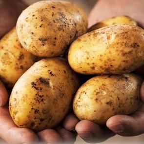 Asıl vitamini bakın neredeymiş!