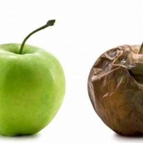 Çürüyen meyve neden kahverengi rengi alır?