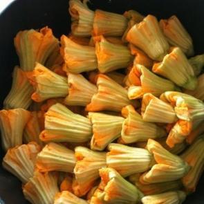 Kabak çiçeği dolması tarifi