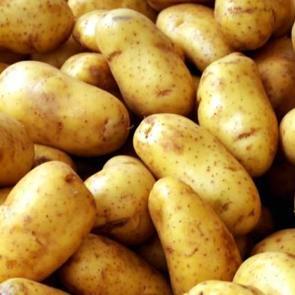 Patates sevdalıları dikkat! 