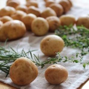 Haziran ayın da tüketilmesi gereken gıdalar!