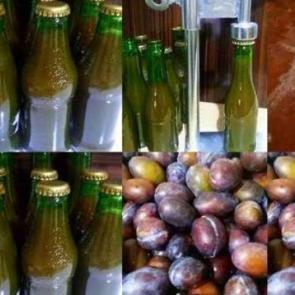 Soda şişesinde meyve suyu nasıl hazırlanır?