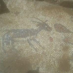 Adıyaman'da taban mozaikler bulundu