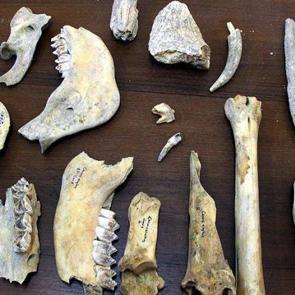 Doğu ilimizde Demir &Ccedil;ağı'na ait şaşırtan bulgular!