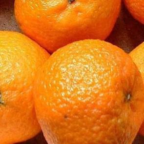  Selülit savar 10 besin