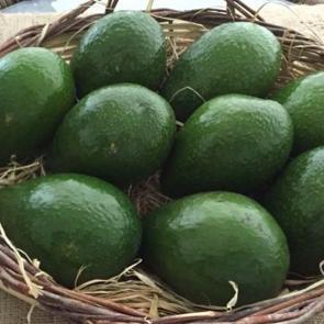 Haftada iki gün yerseniz...