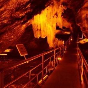 Mağarada insan ve hayvan kemikleri bulundu