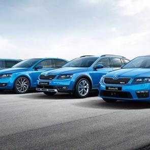 Volkswagen, Skoda markalı ara&ccedil;larını topluyor