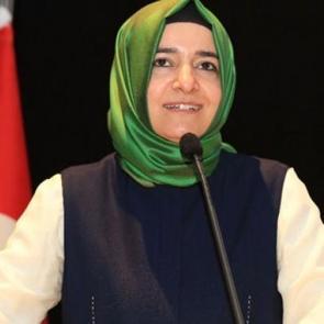 Bakan Kaya: Mermiyi namluya sürme sesini duyduk!