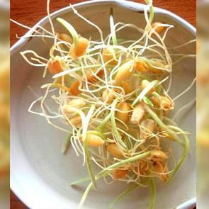 Sağlıklı yaşamanın 15 altın kuralı