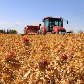 Dizel i&ccedil;in flaş karar! Zorunlu oluyor