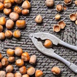 Fındık &uuml;reticisinin y&uuml;z&uuml;n&uuml; g&uuml;ld&uuml;rd&uuml;