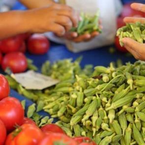 Organik tarım rekora koşuyor