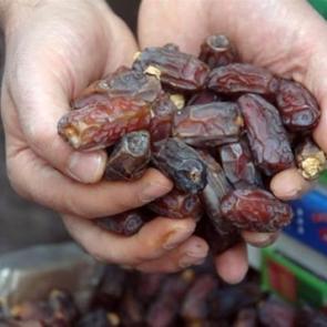 Türkiye’nin en ucuz hurması Van’da