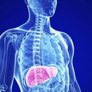 Oruç tutarak karaciğer yağlanmasına engel olun!