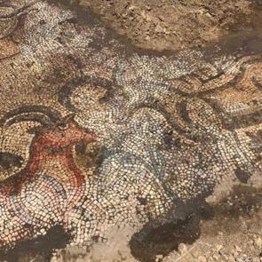 Adıyaman'da bulundu! Tam 1600 yıllık