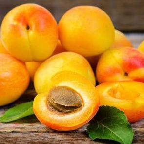 V&uuml;cuttan &ouml;demi s&ouml;kt&uuml;ren 5 besin