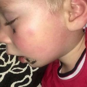 Annesi ağzında sineklerle buldu!