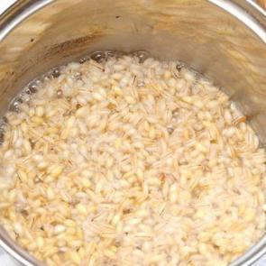 Arpa diyeti nasıl yapılır?