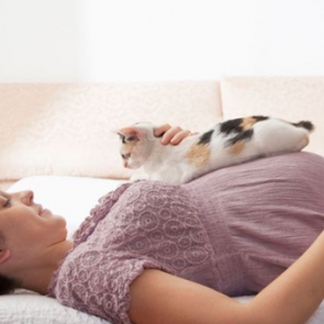 Hamileler evde hayvan besleyebilir mi?