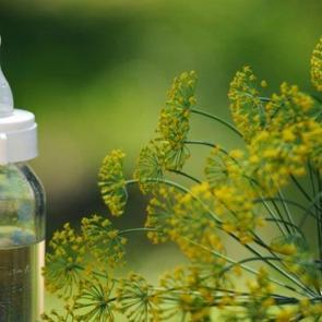 Bebeklere bitki &ccedil;ayları i&ccedil;irilmeli mi?