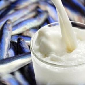 Balık yedikten sonra s&uuml;t i&ccedil;ilir mi?