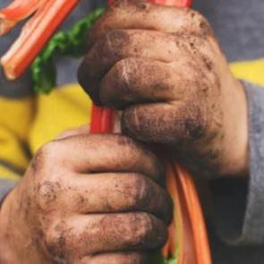 &Ccedil;ocukların kirlenmesine izin verilmeli mi?