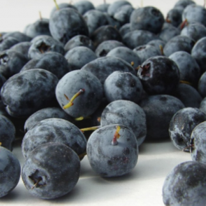 Acai &ccedil;ileğinin faydaları nelerdir?