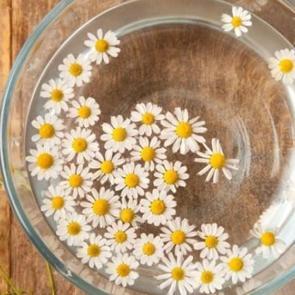 Papatya suyu ile sa&ccedil; nasıl a&ccedil;ılır?