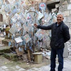 D&uuml;nyanın en pahalı ağacı