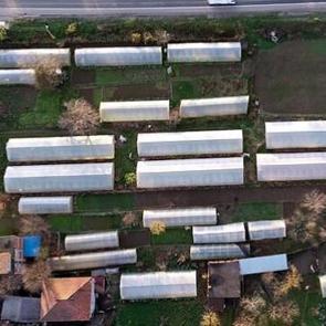 İş yerini kapatıp k&ouml;ye yerleşti, 11 sera kurdu