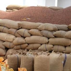 Fındıkta TSK sevinci