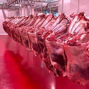 H&uuml;k&uuml;metten et ithalatını bitirecek hamle