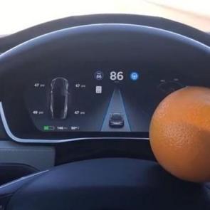 Tesla'yı portakalla kandırdı