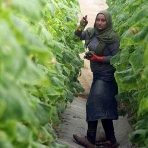 Mersin&rsquo;de 1 lira İstanbul&rsquo;da 8 lira