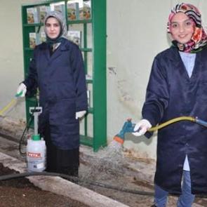 Bileziklerini satarak servet sahibi oldular