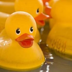 Plastik oyuncaklar &ccedil;ocukları &ouml;l&uuml;mle tehdit ediyor!