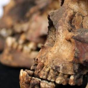 Kurban edilmişler! 140 &ccedil;ocuğun cesedine ulaştılar