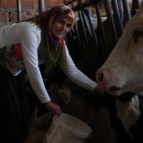Ev hanımıydı, devlet desteğiyle besici oldu