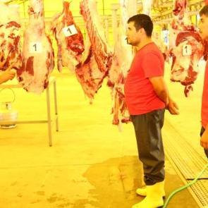 Başakşehirli kasaplara kurban kesim eğitimi