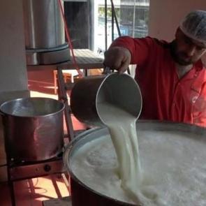 Japonlar sırrını vermedi! Şimdi d&uuml;nyaya satıyor