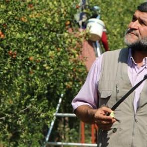 R&uuml;yasında g&ouml;rd&uuml;! 13 bin tane dikti...