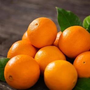 Sel&uuml;litleri gideren portakal maskesi