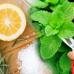 Limon tuzu ile nane zayıflatıyor mu?