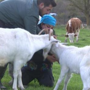 700 lirayla işe başladı! Şimdi &ccedil;iftliği var...