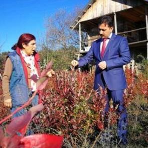 İşini bıraktı! Hayallerinin peşinden gitti...